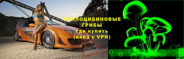 амф Зеленокумск