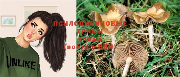 прущая мука Зерноград
