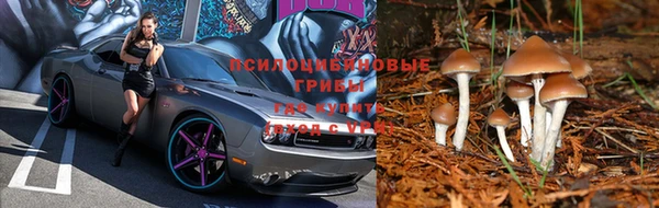 MDMA Зеленодольск