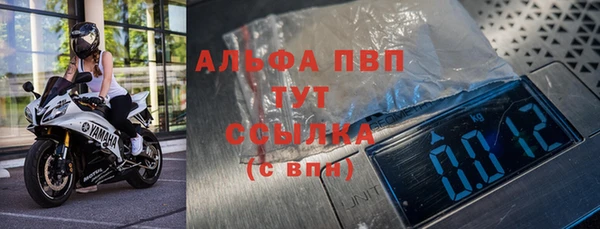 амф Зеленокумск
