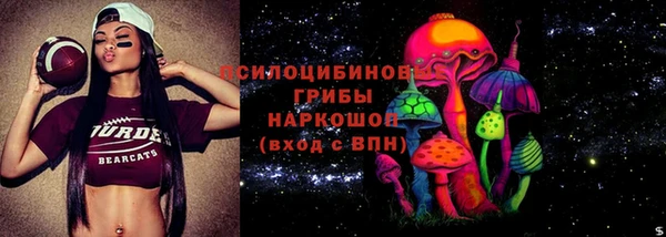 амф Зеленокумск